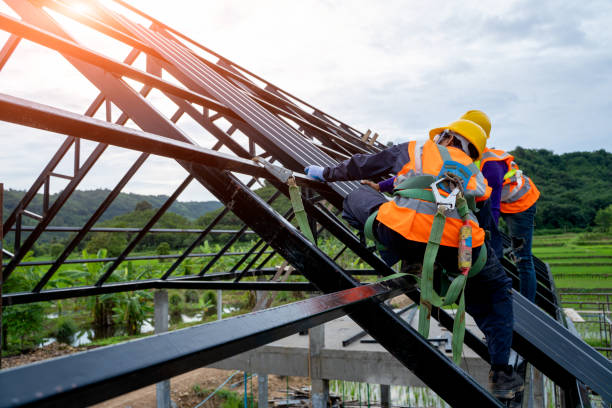 Best Roof Gutter Cleaning  in Rochester, NH